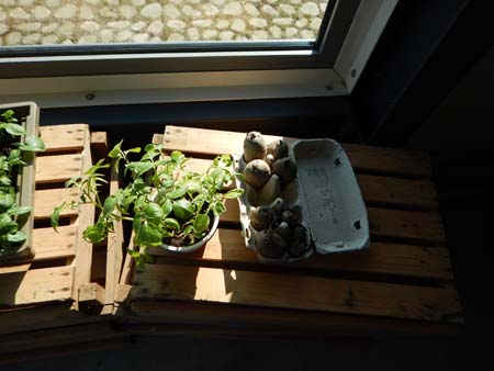 DSCN2172
